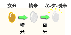 J^ẮAȕɂ܂I