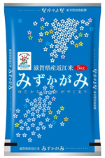 ꌧY@݂